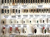 a display of many different types of scaries on the wall
