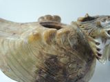 a close up of a turtle shell on a white surface