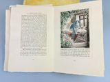 an open book with a picture of a woman sitting on a bed