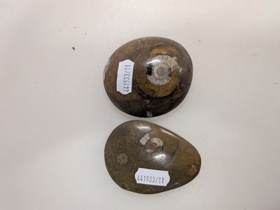two rocks with tags on them sitting on a table