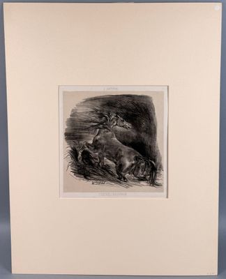a black and white drawing of a dog and a cat in a field