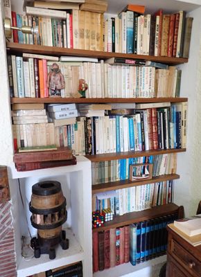 de nombreux livres sur les étagères de cette petite pièce