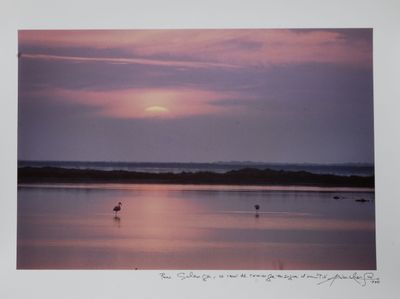 Lucien CLERGUE (1934-2014). Coin de Camargue. Tirage photogr…