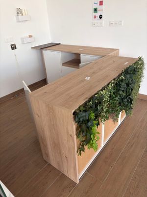 un bureau sur lequel pousse une plante, dans une pièce