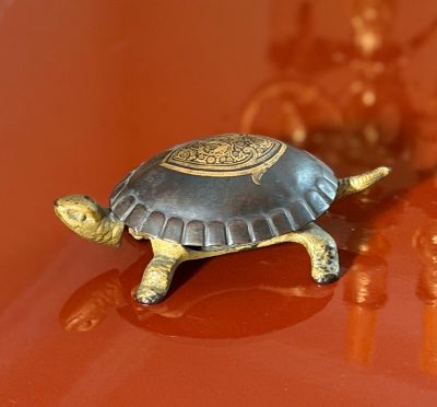 a small turtle that is sitting on top of a table