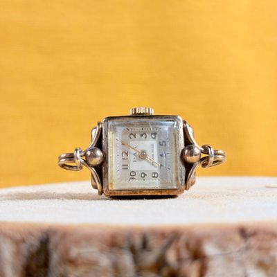 an image of a watch sitting on top of a tree stump