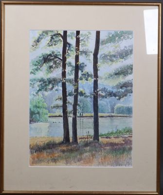 aquarelle encadrée représentant des arbres au bord d'un lac dans les bois