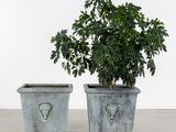 two planters that have plants in them on the floor