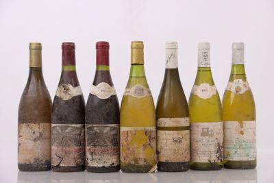 six bouteilles de vin sont alignées sur une surface blanche