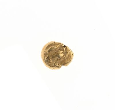 gros plan d'une pièce d'or sur une surface blanche