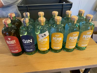 2 bouteilles de brandy 2 bouteilles de gin 8 bouteilles de p… - Photo 1