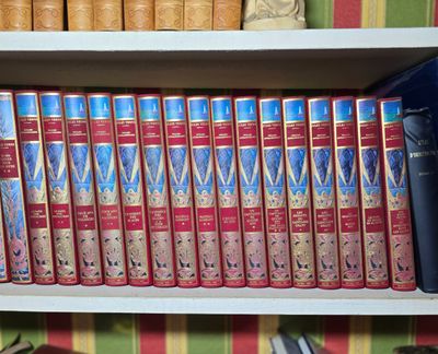 beaucoup de livres sur les étagères de la pièce