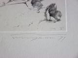 pencil drawing of a cat laying down on the ground with its paw on the ground