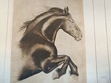 une photo de cheval accrochée au mur