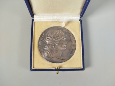an image of a silver medal in a blue box on a white surface