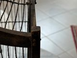 un oiseau posé dans une cage posée par terre
