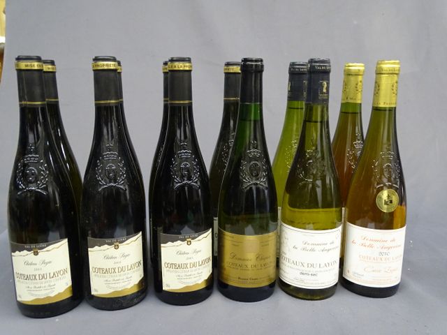 COTEAUX DU LAYON, DOMAINE DE LA BELLE ANGEVINE, blanc, 2 bouteill...