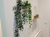 a plant that is hanging on the wall next to a radiator