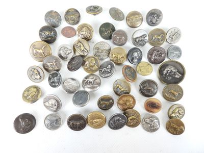 plusieurs types de boutons différents sur une surface blanche
