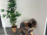 a chair and a potted plant in the corner of a room