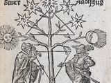un vieux livre sur lequel figure l'image d'un homme et d'une femme debout près d'un arbre
