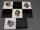 quatre photos différentes de chiens posant sur une table à carreaux noirs et blancs