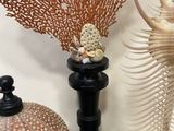 two vases that have sea shells on them on a table