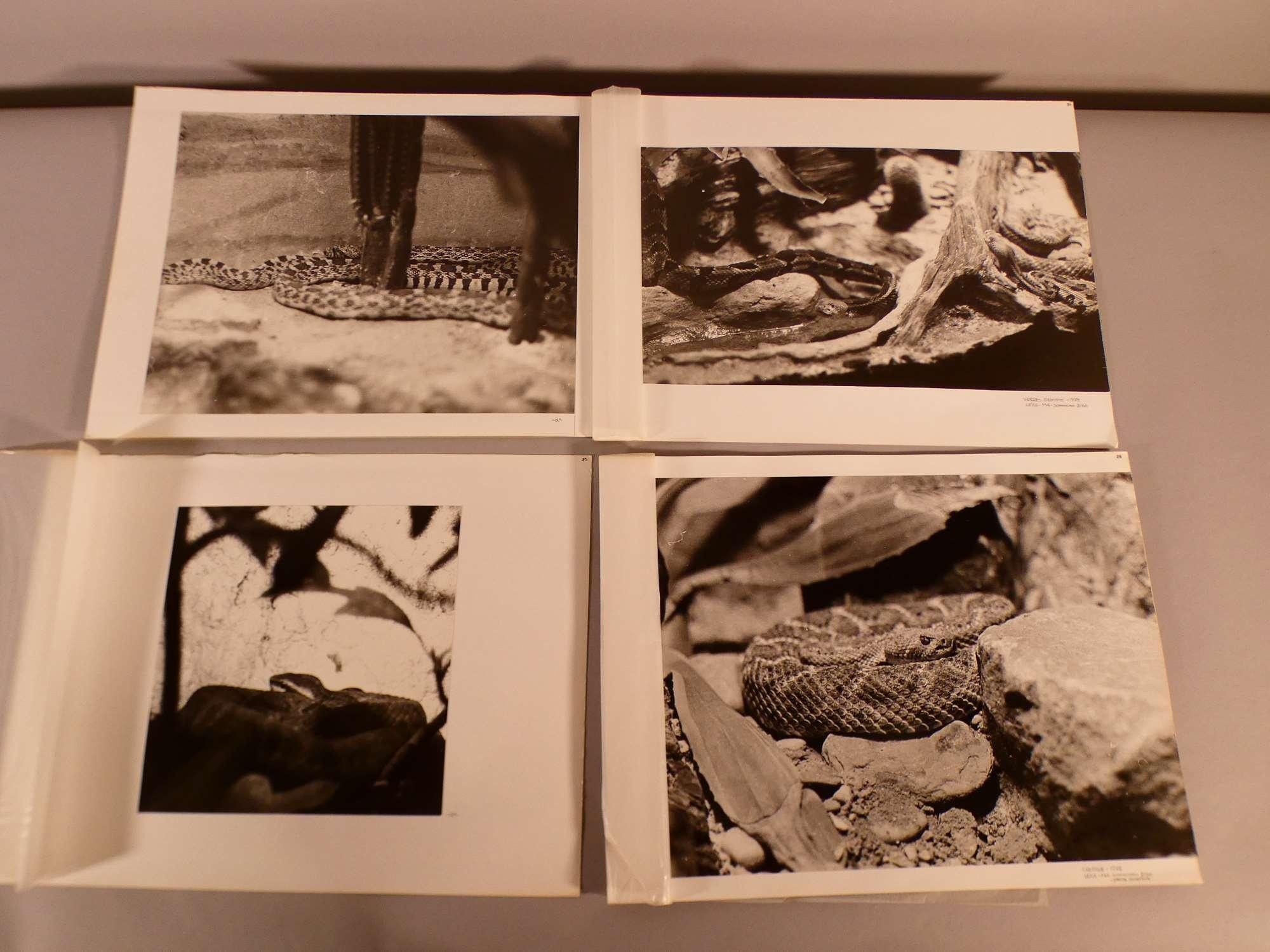 Objets d'art & Curiosités