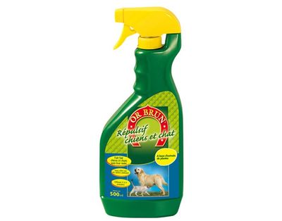 un vaporisateur vert avec un bouchon jaune sur fond blanc