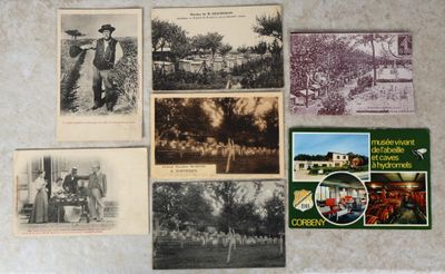 de nombreuses vieilles photos d'hommes et de femmes accrochées au mur