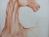 tableau représentant un cheval, encadré, sur fond blanc