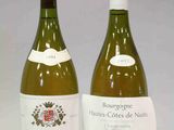 deux bouteilles de vin posées l'une à côté de l'autre sur une table