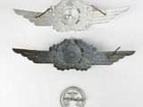 two silver metal wings and a coin on a white surface
