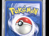 pokemon new world for psa walkthrour