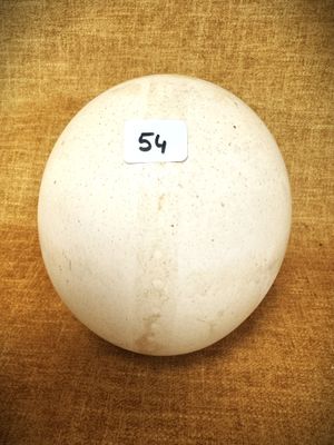 une balle blanche avec une étiquette, posée sur une table