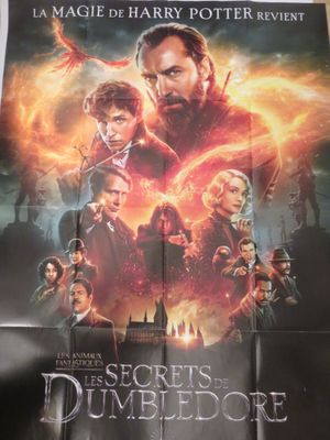 une affiche du film « Le secret de Dumbledge »