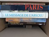 Photo 1/1 du lot