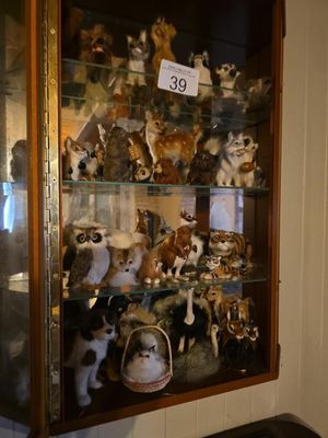 une vitrine contenant de nombreux animaux empaillés