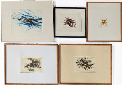 six framed and unframed drawings of birds and flowers
