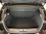 a trunk of a car with the trunk open