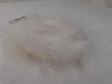 a white feather that is laying on top of a bed