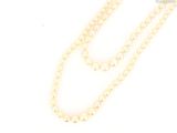 a close up of a white pearl necklace on a white background