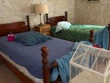 two beds in a room with a birdcage on the bed