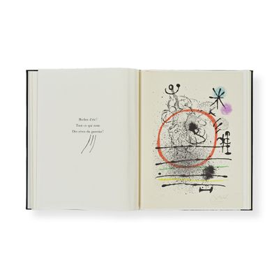 an open book with a drawing of a cat and a bird on it