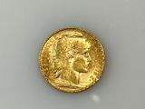 an image of a close up of a gold coin on a white surface