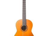 an image of an acoustic guitar on a white background
