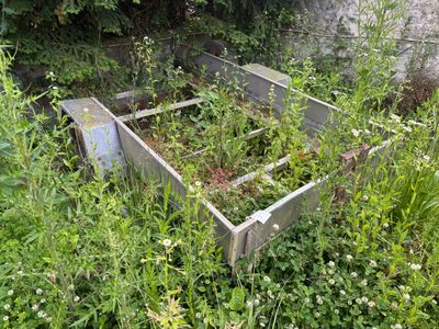 une boîte métallique d'où poussent des plantes, posée dans l'herbe