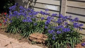 Destockage & Invendus