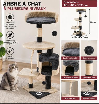 Le chat est assis devant l'arbre à chat et le regarde.