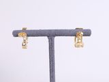 a close up of a pair of earrings on a stand